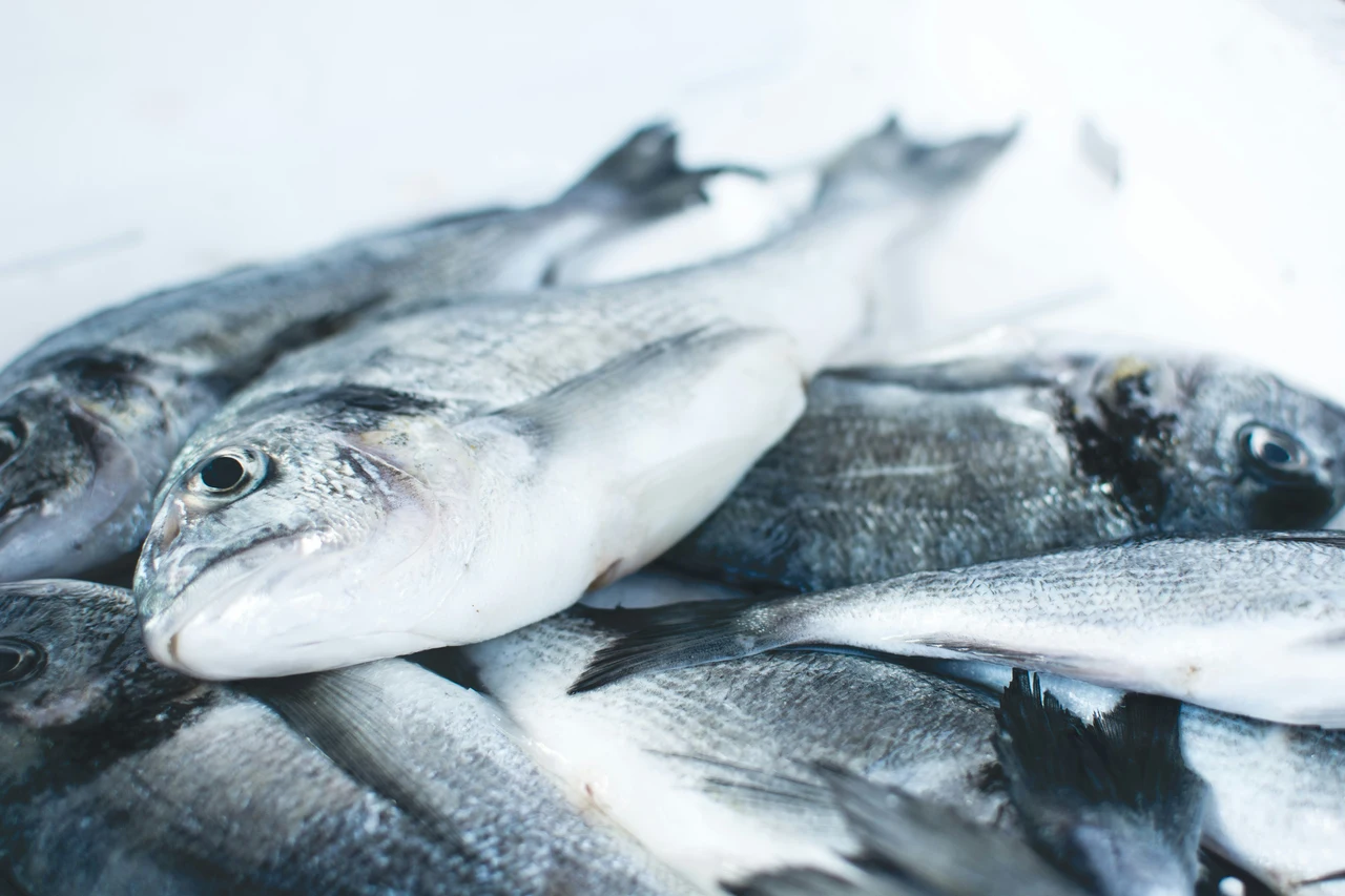 Allarme del Ministero sulla sicurezza alimentare per la presenza di sostanze eterne nel pesce Immagine selezionata