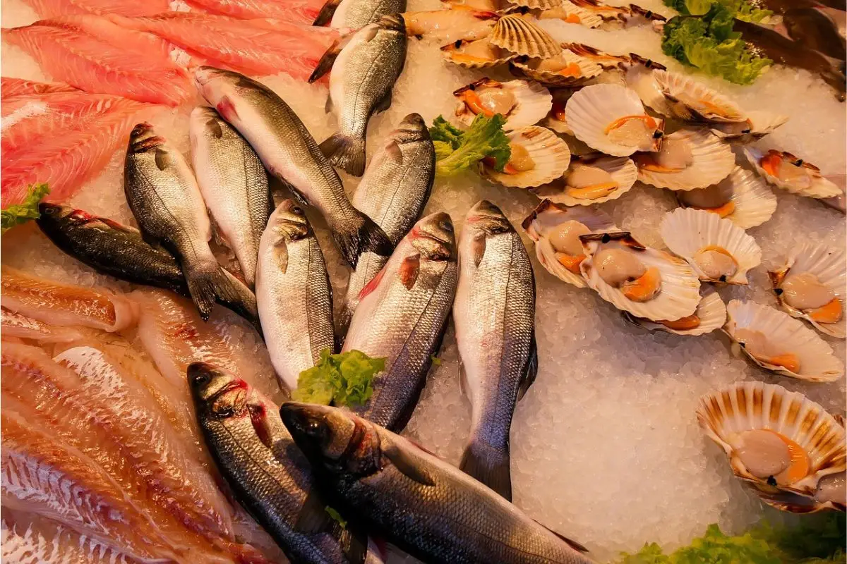 Allarme del Ministero sulla sicurezza alimentare per la presenza di sostanze eterne nel pesce Immagine selezionata