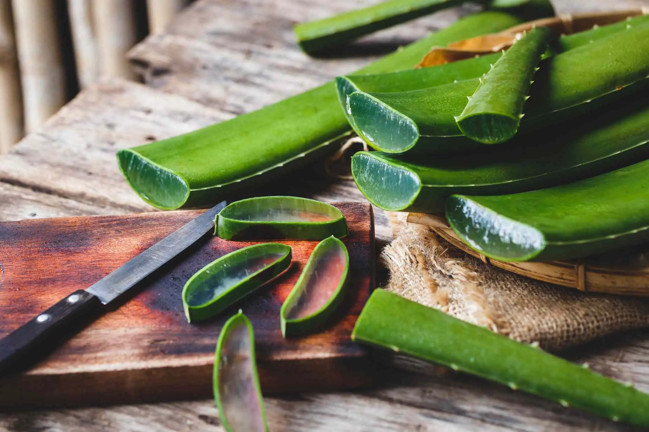 Pelle giovane e luminosa con l’aloe vera: ecco la ricetta semplice per tutti Immagine selezionata