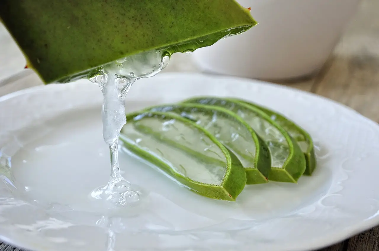 Pelle giovane e luminosa con l’aloe vera: ecco la ricetta semplice per tutti Immagine selezionata