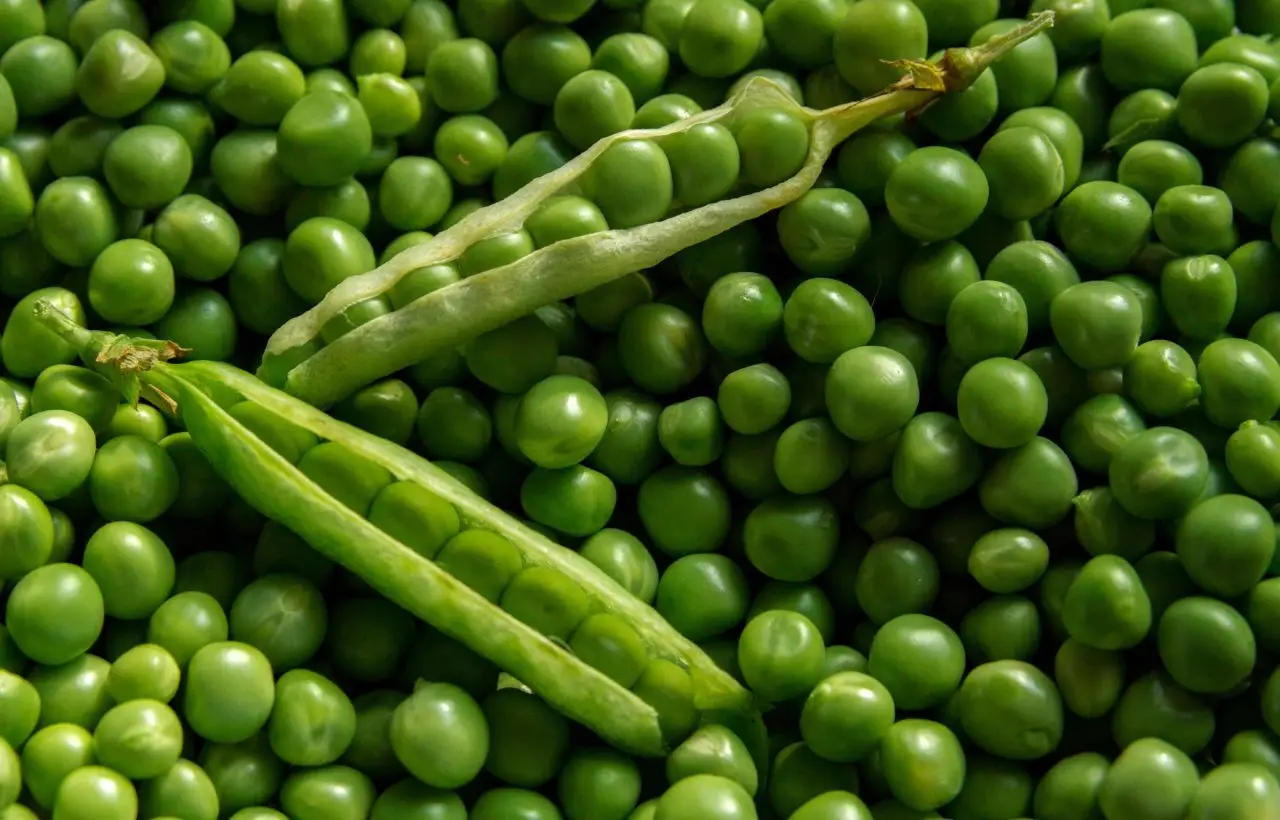 Evita questo metodo di cottura dei piselli, rischi di perdere tutte le vitamine