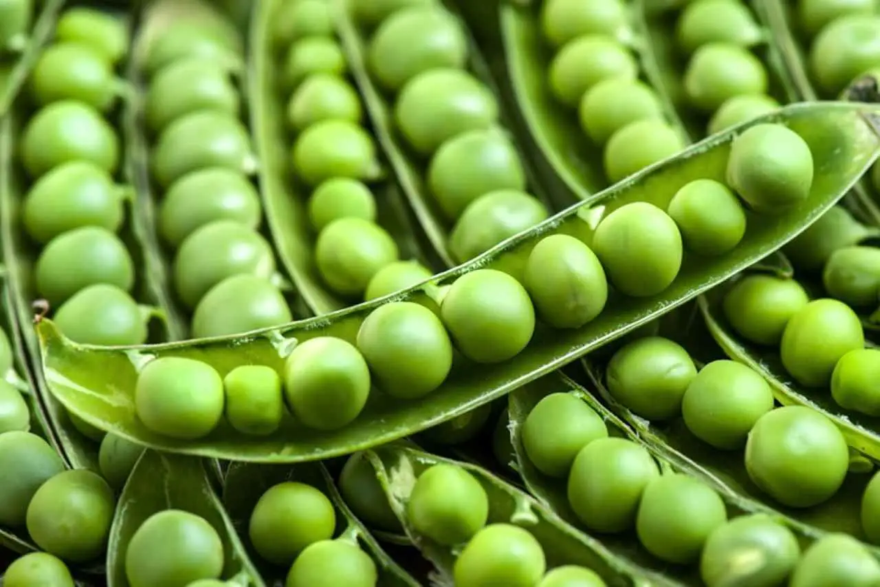 Evita questo metodo di cottura dei piselli, rischi di perdere tutte le vitamine Immagine selezionata