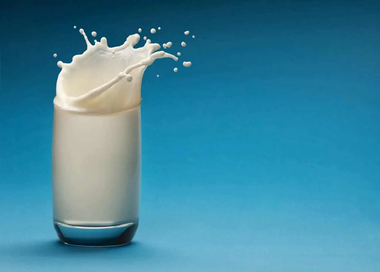 Latte scremato: attenzione potrebbe saziare meno Latte scremato: attenzione potrebbe saziare meno