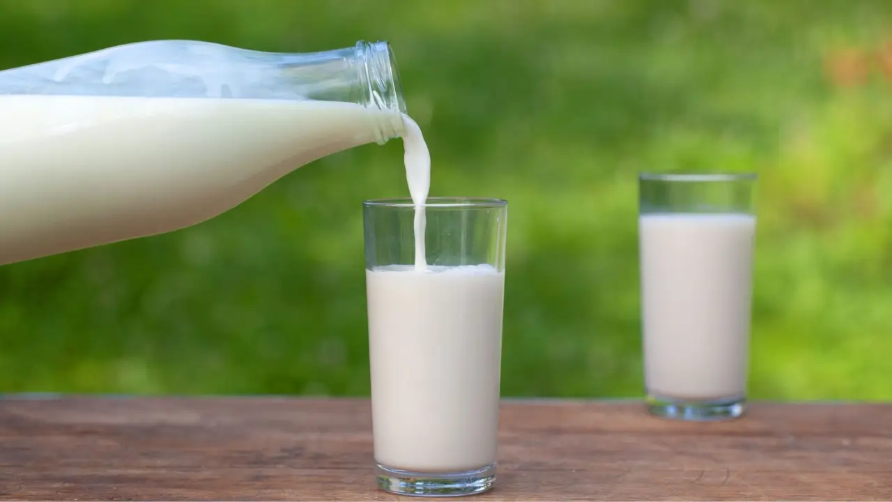 Latte scremato: attenzione potrebbe saziare meno Latte scremato: attenzione potrebbe saziare meno