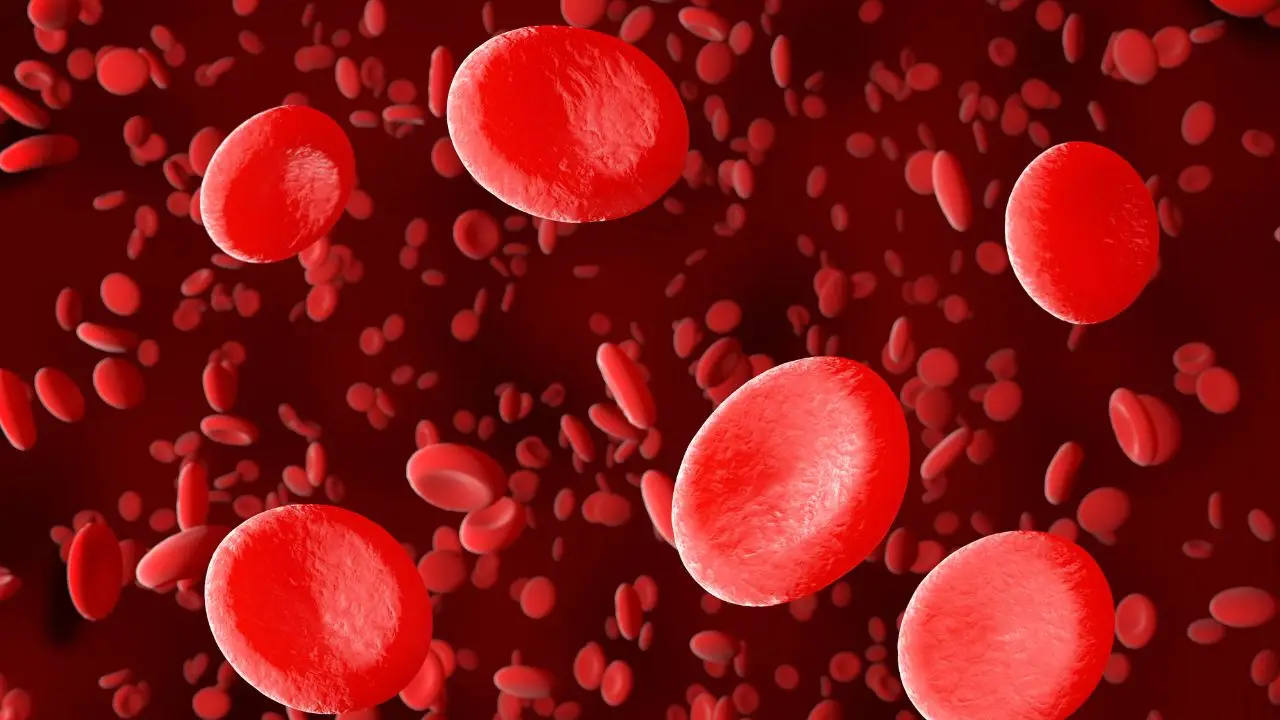 Vitamina E attenzione agli eccessi! Può rendere il sangue troppo fluido Vitamina E attenzione agli eccessi! Può rendere il sangue troppo fluido